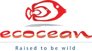 Logo ECOCEAN 