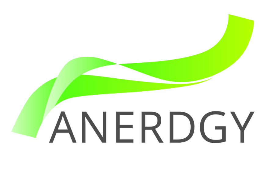 Logo ANERDGY 