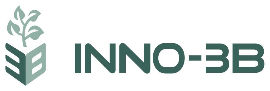 Logo INNO-3B