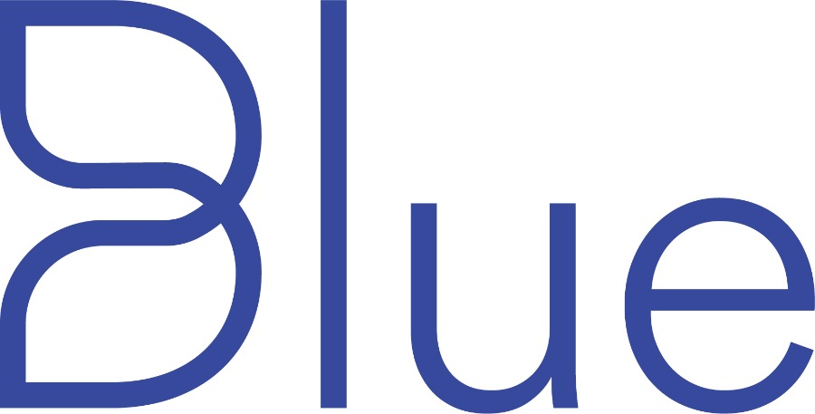 Logo Blue - the Big Clean Out !