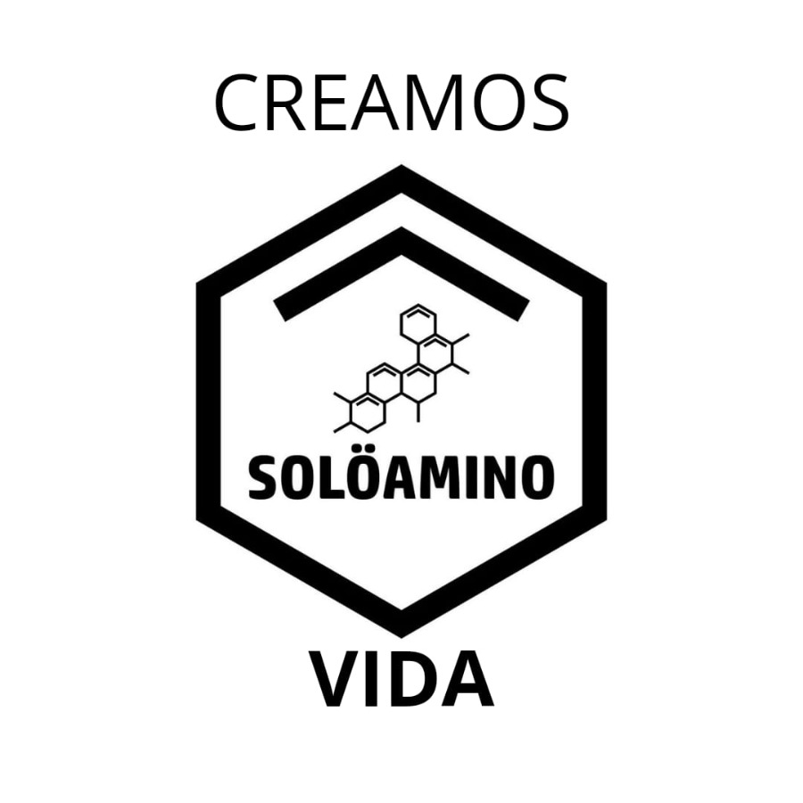 Logo Solöamino