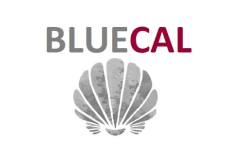 Gallery Bluecal 1