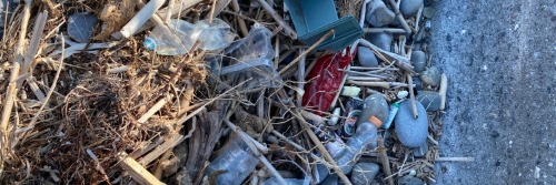 Gallery Global Database of Coastal Plastic Waste 4