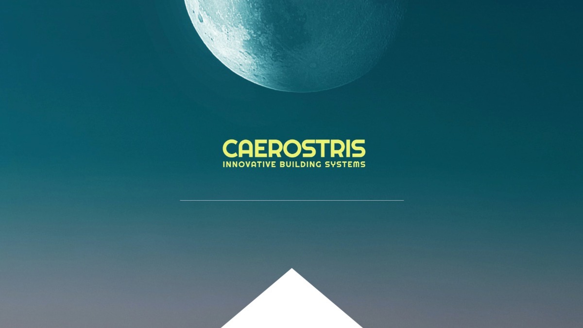 Company Caerostris