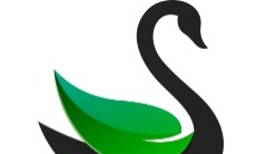 Company The Green Swan Lab `